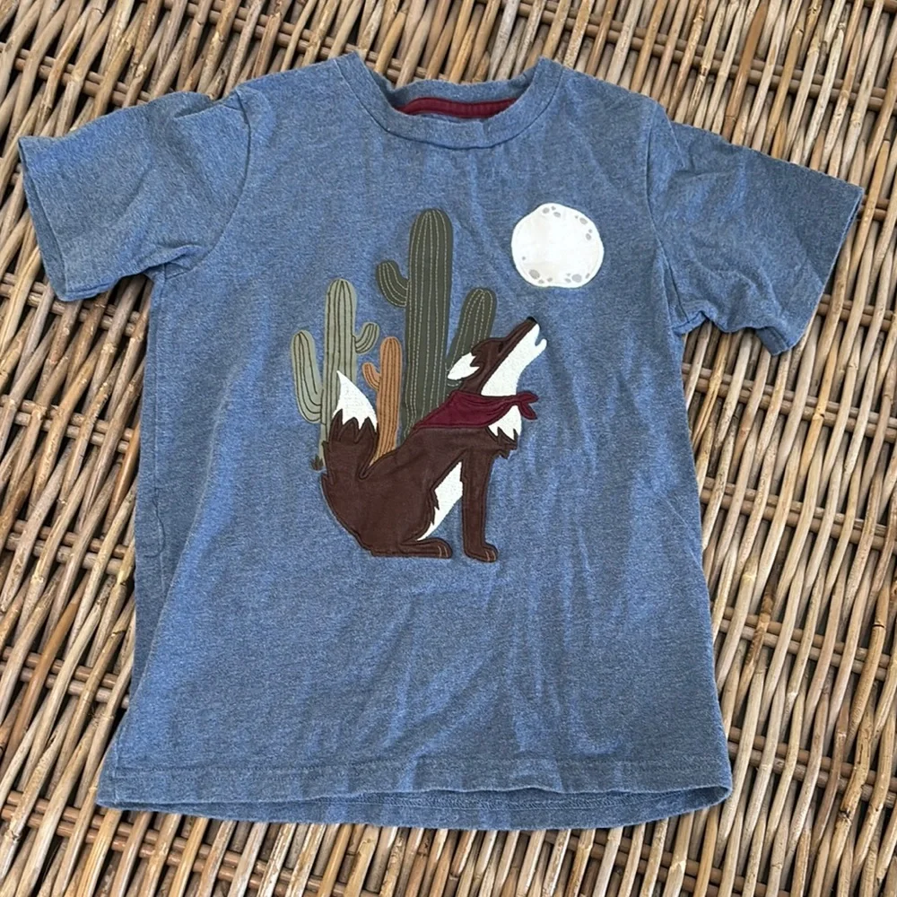 Gymboree Blue Desert Graphic and shorts and tee set